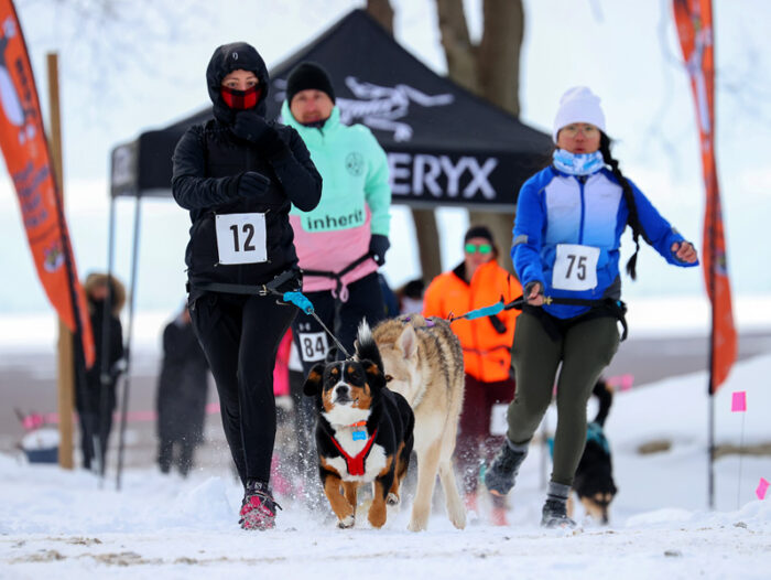 Polar Paws 2026