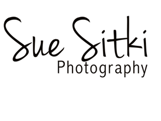 Sue Sitki Photography